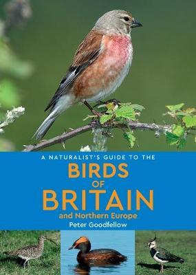 Naturalist's Guide to the Birds of Britain and Northern Euro