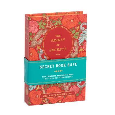 Origin Of Secrets Book Safe