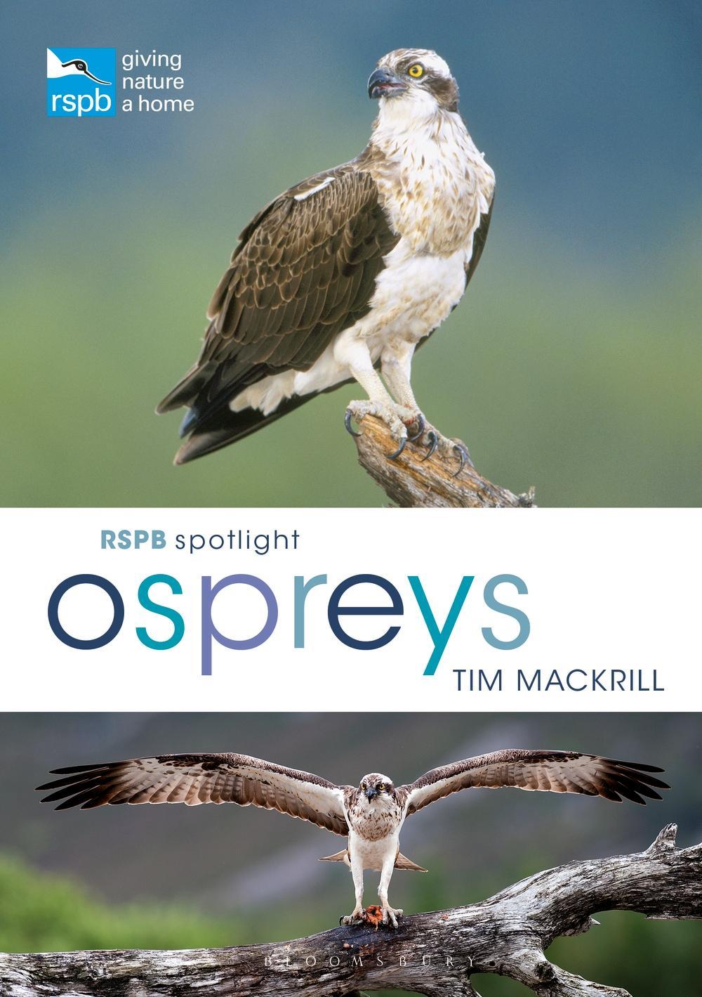 RSPB Spotlight Osprey