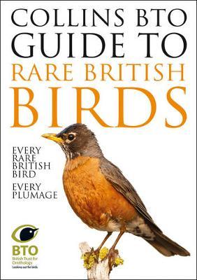 Collins BTO Guide to Rare British Birds