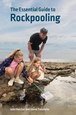 Essential Guide to Rockpooling