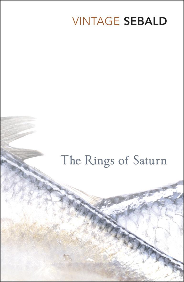 Rings Of Saturn