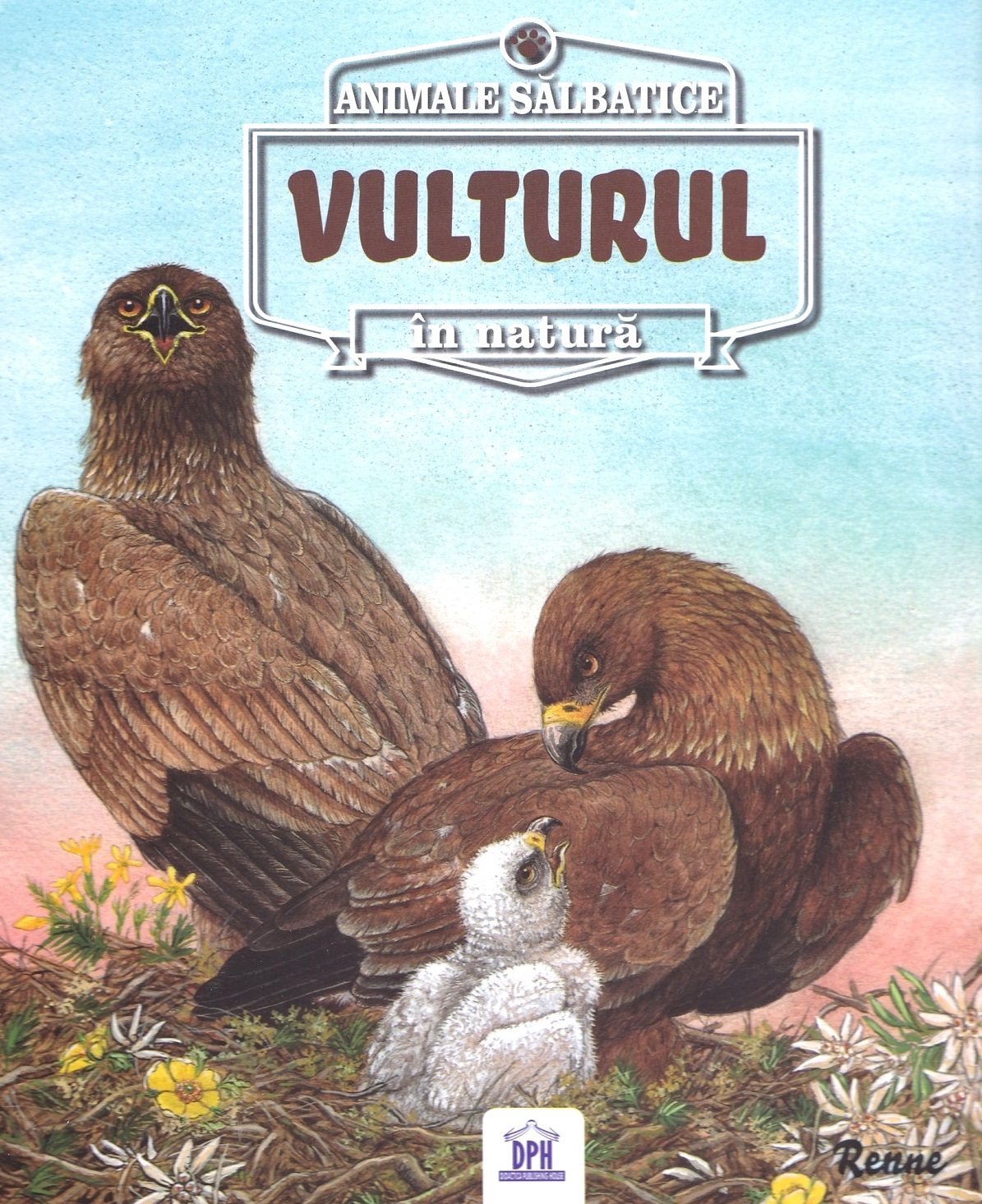 Animale salbatice in natura: Vulturul - Renne