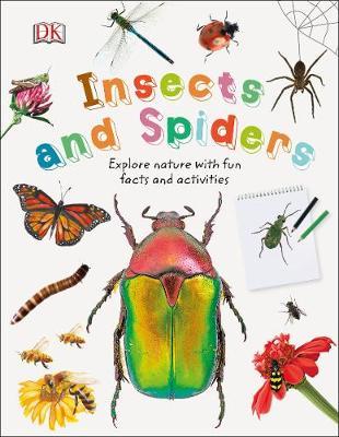 Insects and Spiders -  