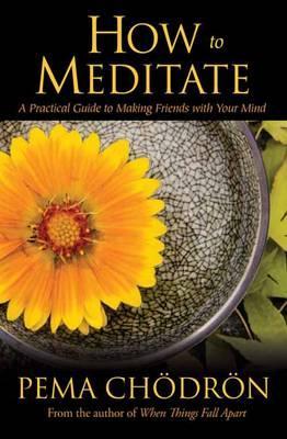 How to Meditate - Pema Ch�dr�n