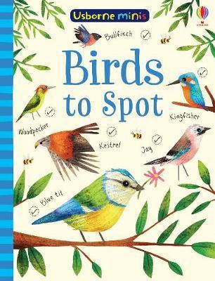 Birds to Spot - Sam Smith