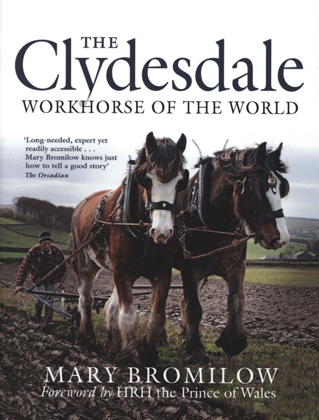 Clydesdale - Mary Bromilow