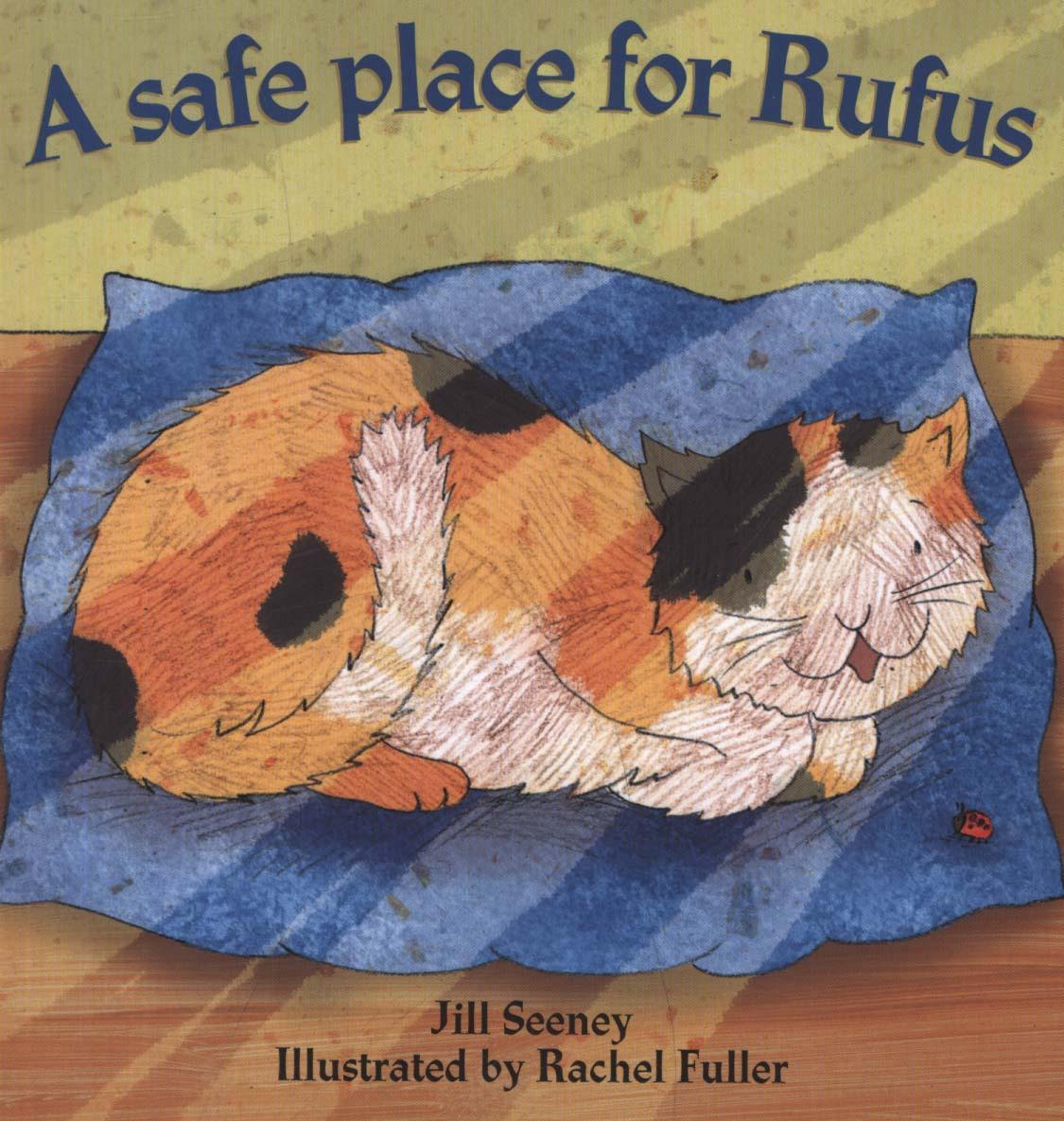 Safe Place for Rufus - Jill Seeney