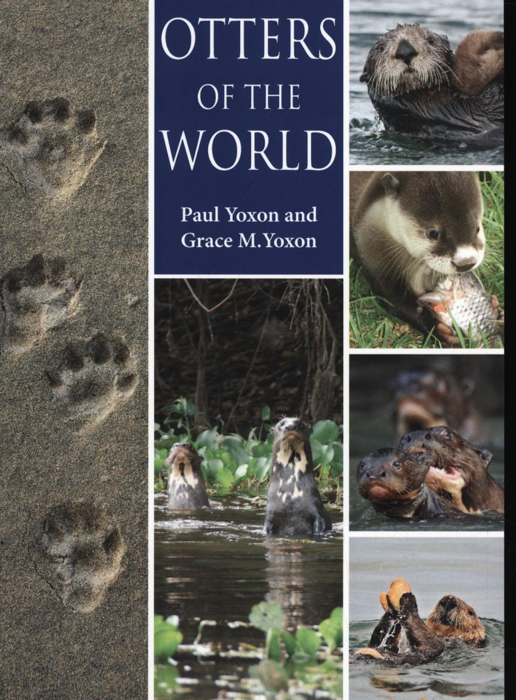 Otters of the World - Paul Yoxon