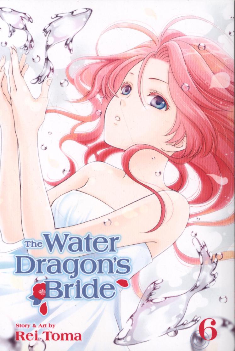 Water Dragon's Bride, Vol. 6 - Rei Toma