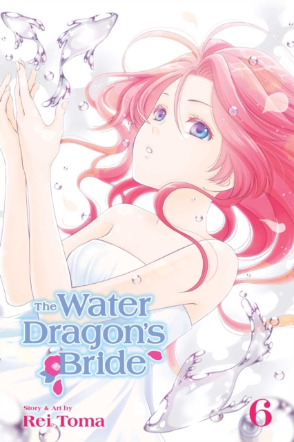 Water Dragon's Bride, Vol. 6 - Rei Toma