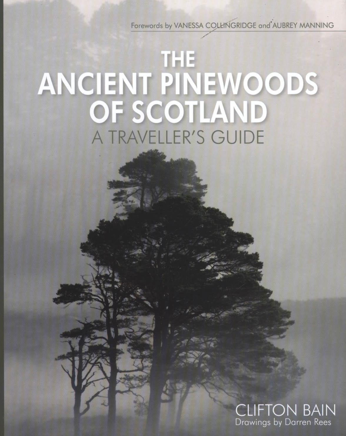 Ancient Pinewoods of Scotland - Clifton Bain