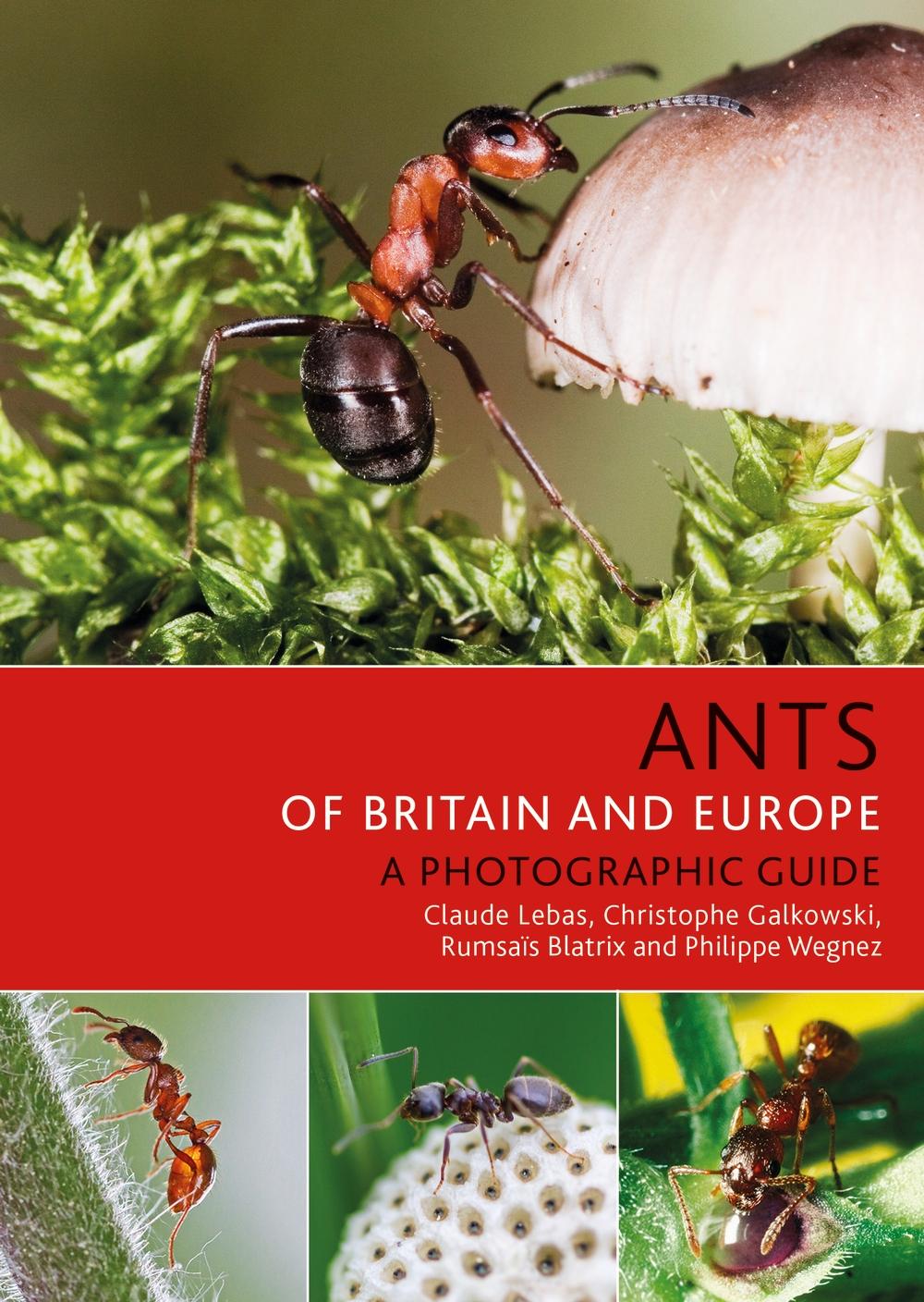 Ants of Britain and Europe - Claude Lebas