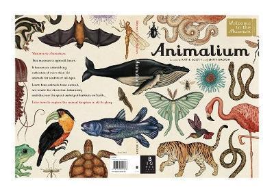 Animalium -  