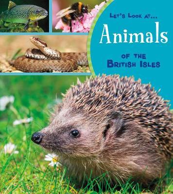 Animals of the British Isles - Lucy Beevor