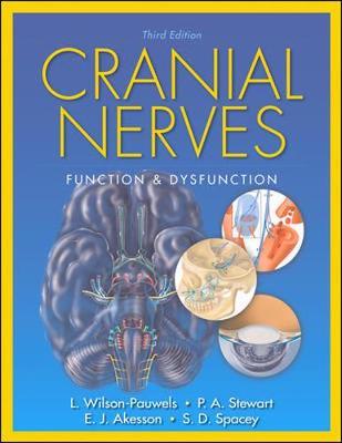 Cranial Nerves -  Wilson-Pawels