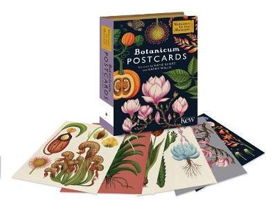 Botanicum Postcards - Katie Scott