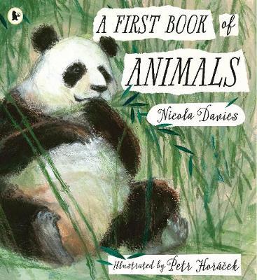 First Book of Animals - Nicola Davies