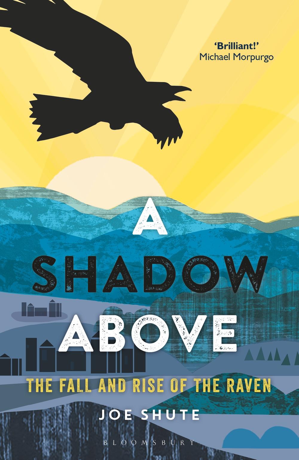 Shadow Above - Joe Shute