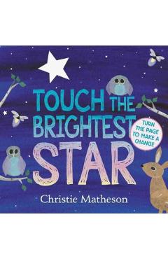 Touch the Brightest Star - Christie Matheson