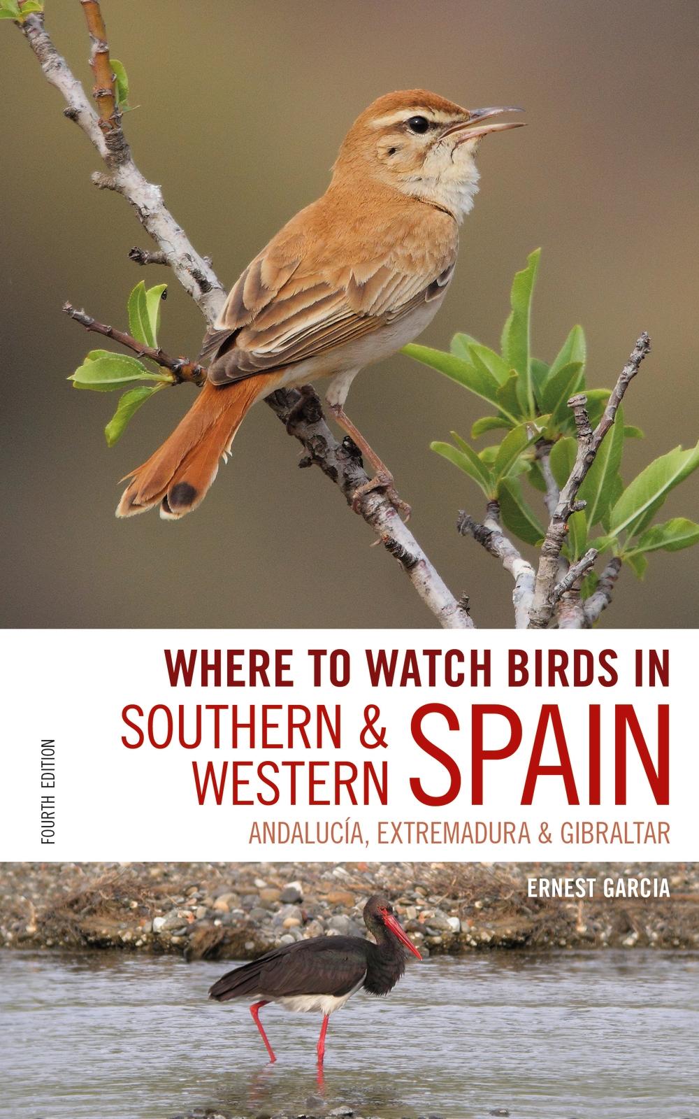Where to Watch Birds in Southern and Western Spain - Ernest Garcia