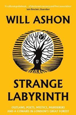 Strange Labyrinth - Will Ashon