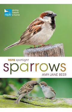 Coperta cărții 'RSPB Spotlight Sparrows - Amy-Jane Beer'