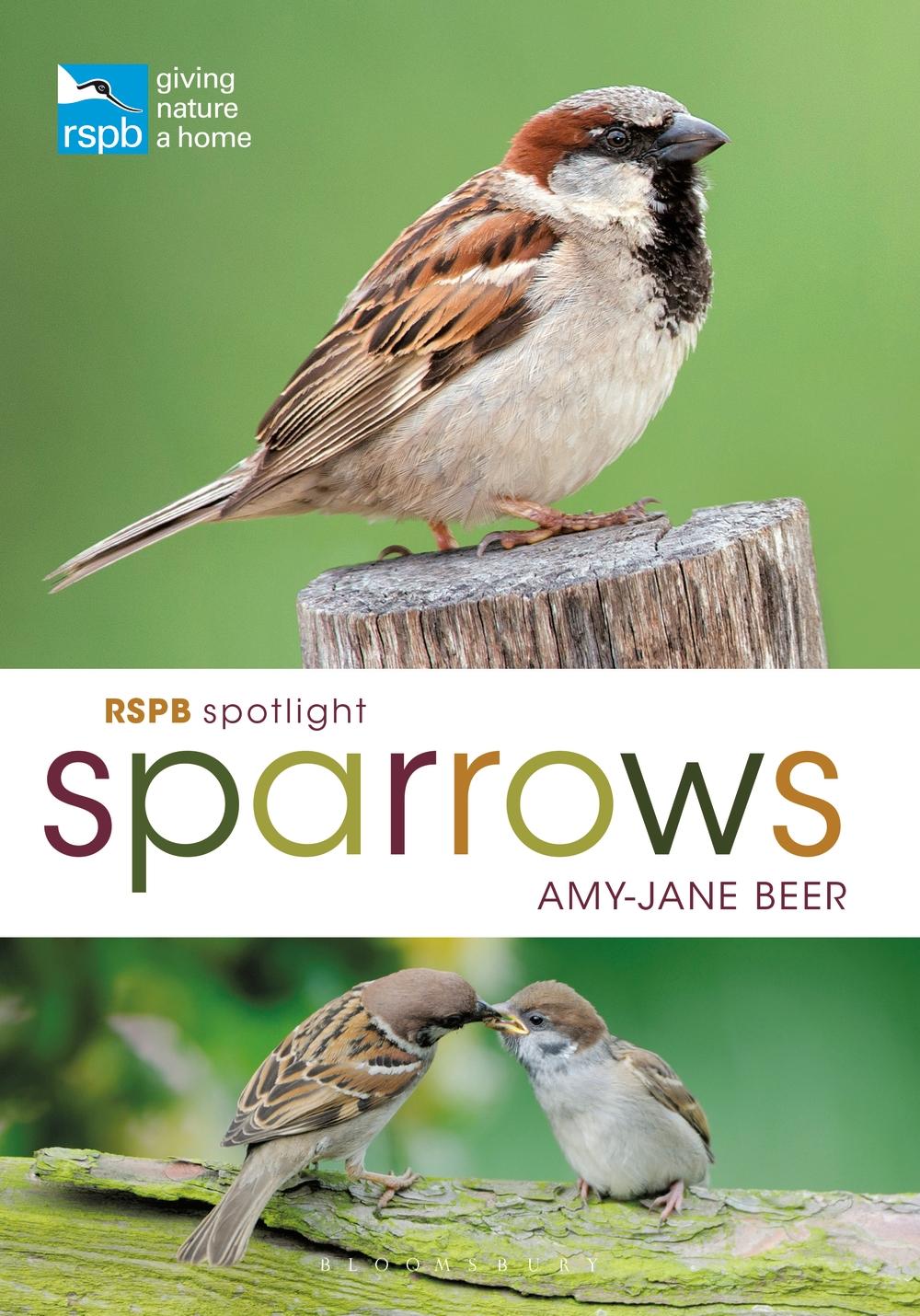 RSPB Spotlight Sparrows - Amy-Jane Beer