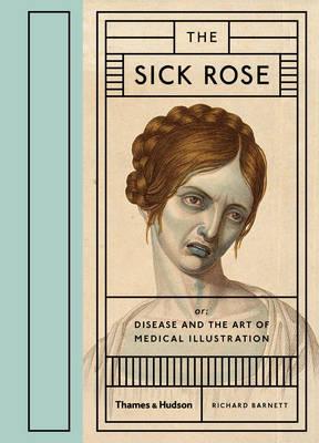 Sick Rose - Richard Barnett