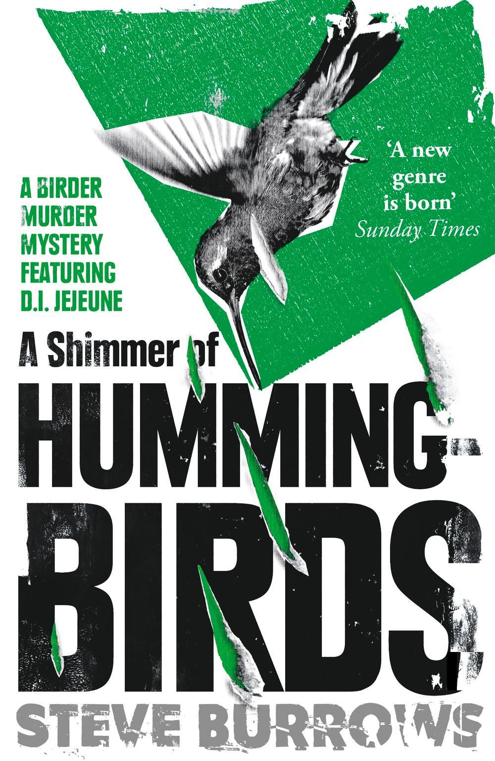 Shimmer of Hummingbirds - Steve Burrows