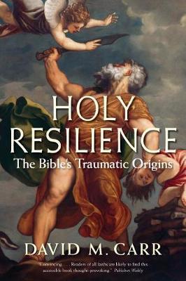Holy Resilience - David M Carr