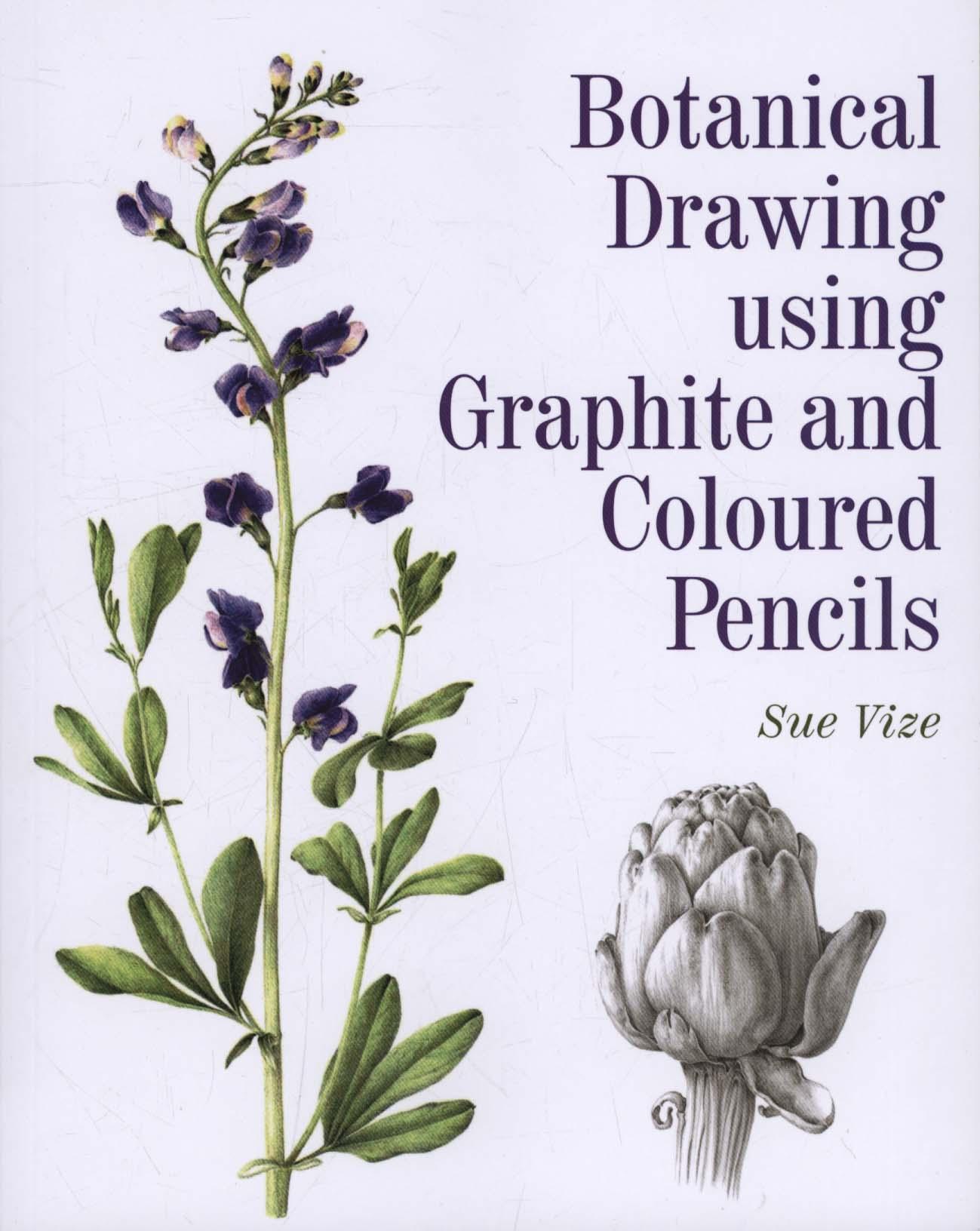 Botanical Drawing using Graphite and Coloured Pencils - Sue Vize