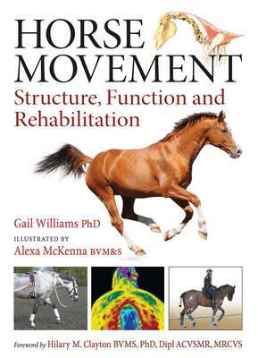 Horse Movement - Gail Williams