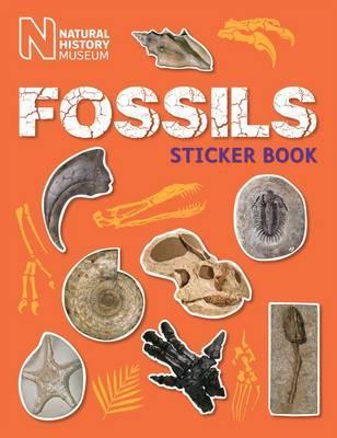 Fossils Sticker Book -  