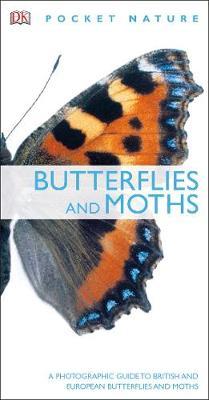 Butterflies and Moths -  