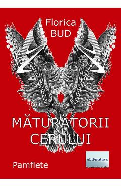 Coperta cărții 'Măturătorii cerului - Florica Bud'