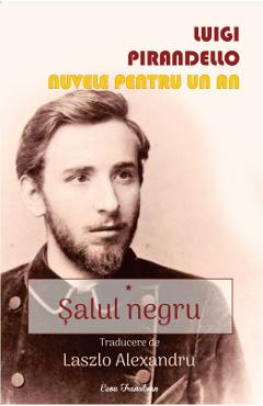 Salul negru. Nuvele pentru un an Vol.1