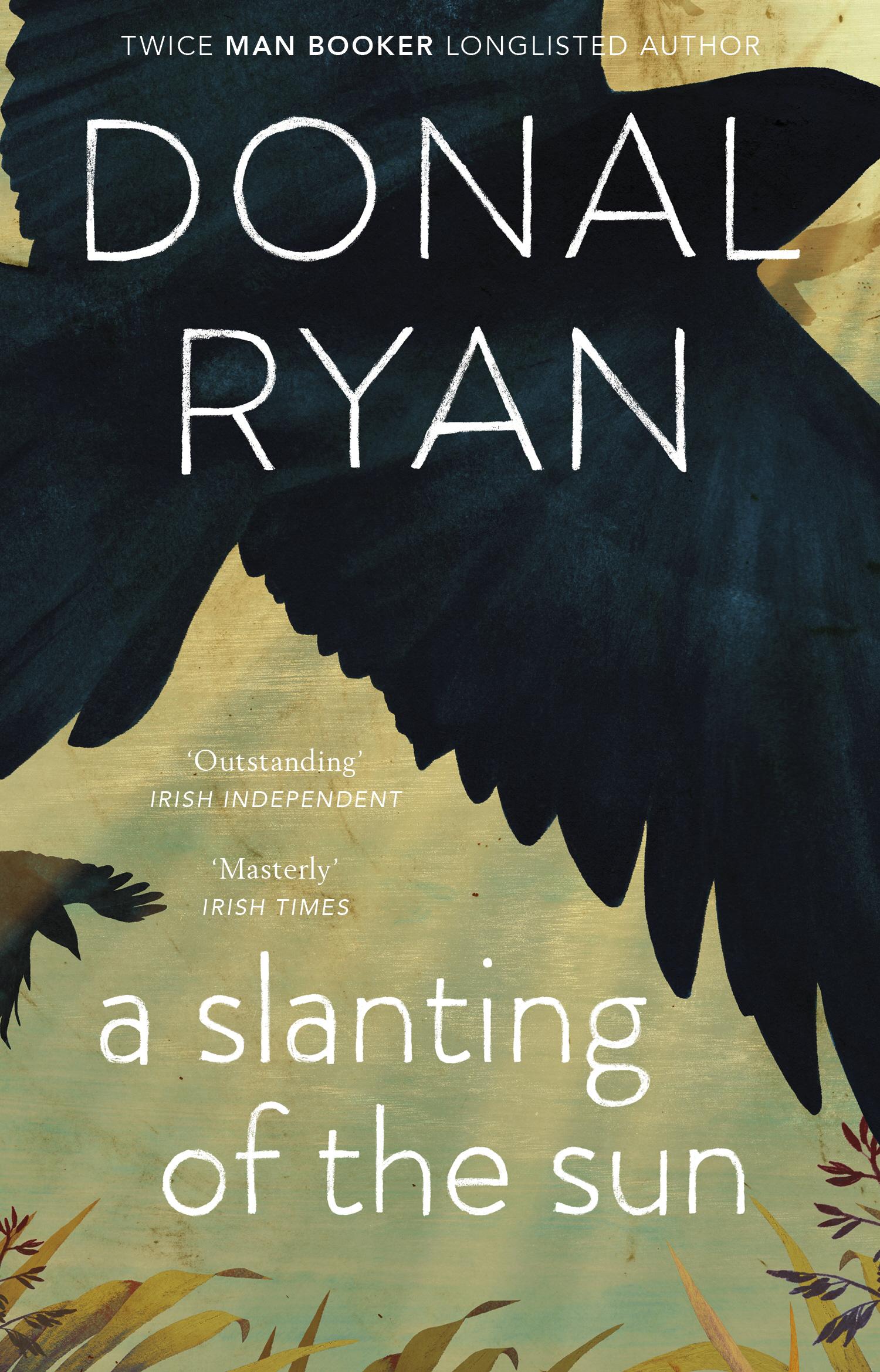 Slanting of the Sun: Stories - Donal Ryan