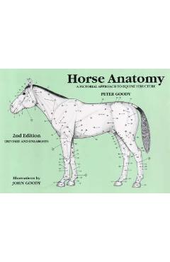 Coperta cărții 'Horse Anatomy - Peter Goody'