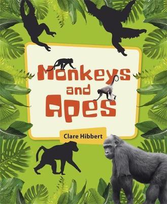 Reading Planet KS2 - Monkeys and Apes - Level 4: Earth/Grey - Clare Hibbert