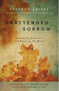 Unattented Sorrow - Stephen Levine