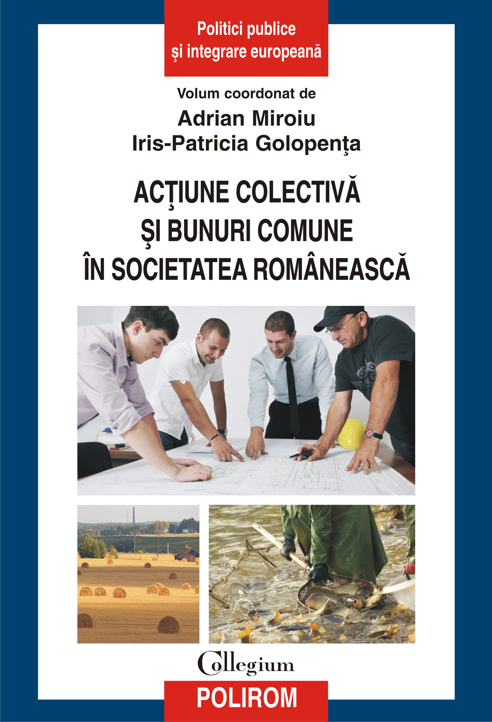 eBook Actiune colectiva si bunuri comune in societatea romaneasca - Iris-Patricia (coord.) Golopenta