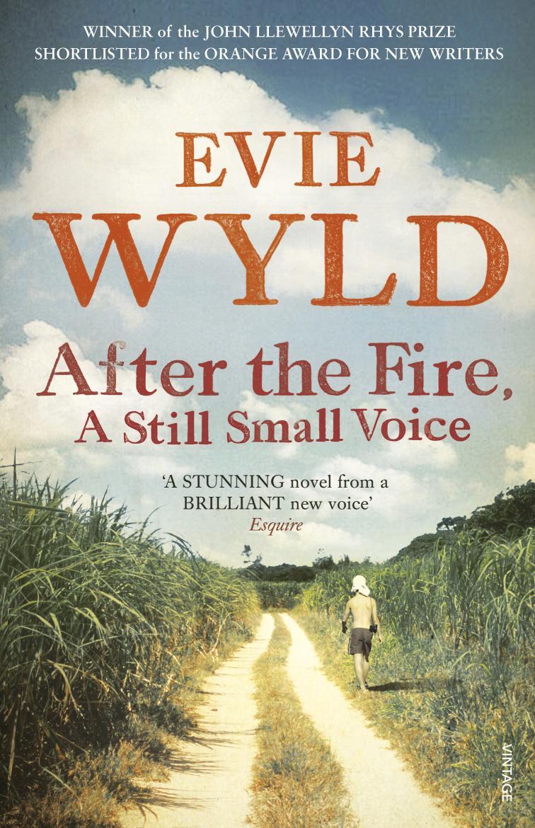 After the Fire, A Still Small Voice - Evie Wyld