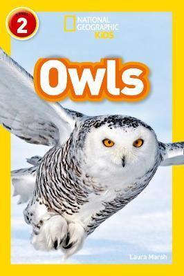 Owls -  