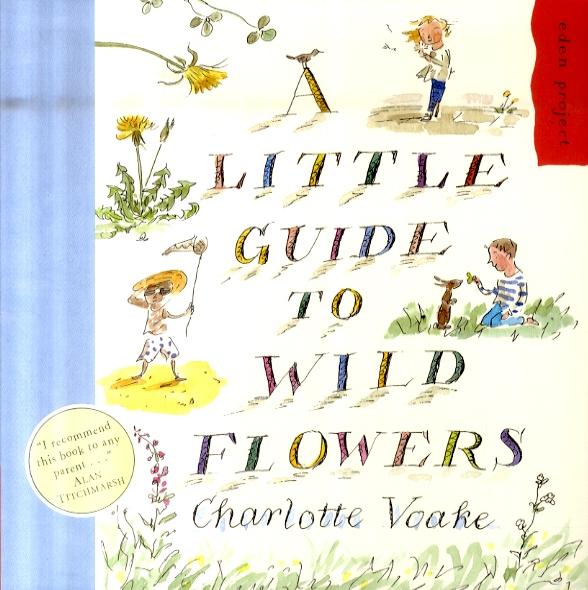 Little Guide To Wild Flowers - Charlotte Voake