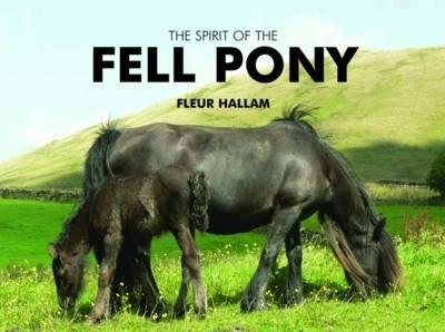 Spirit of the Fell Pony - Fleur Hallam