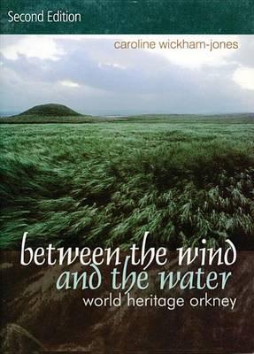 Between the Wind and the Water - Caroline Wickham-Jones