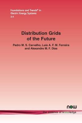 Distribution grids of the future - M  S Carvalho
