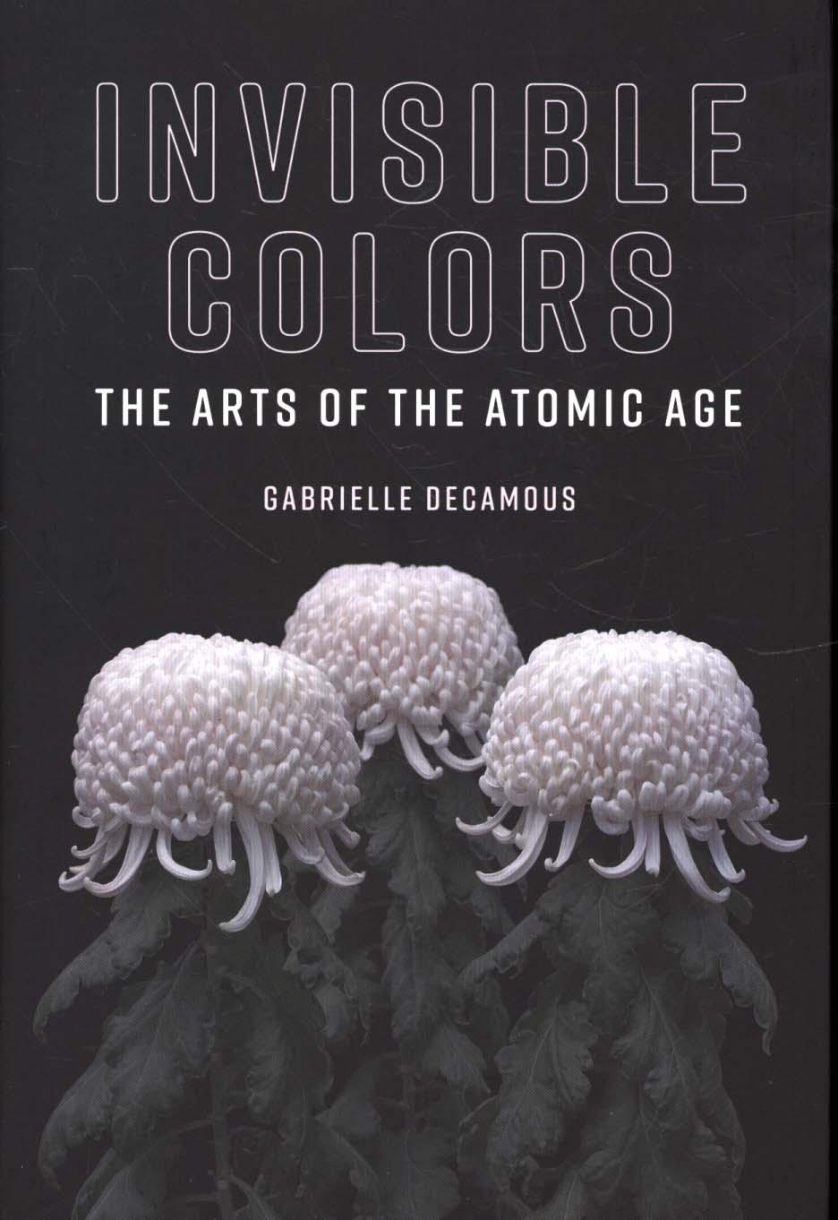 Invisible Colors - Gabrielle Decamous