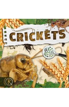 Coperta cărții 'Crickets - William Anthony'